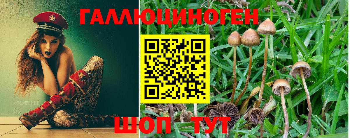 Галлюциногенные грибы Cubensis Химки