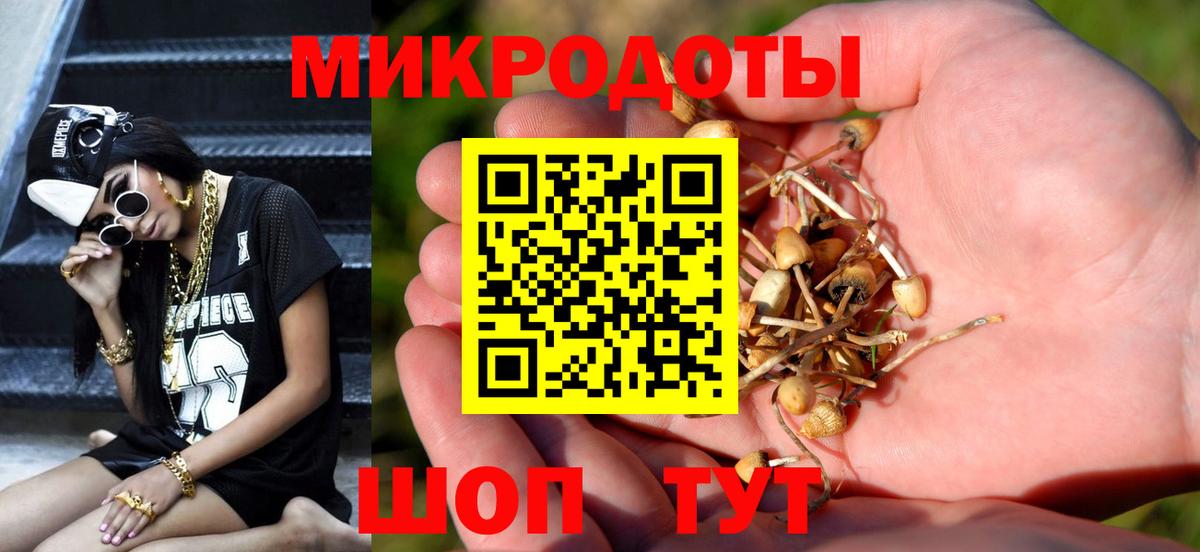 Псилоцибиновые грибы ЛСД  Псилоцибиновые грибы ЛСД  Химки  Вход с VPN 
